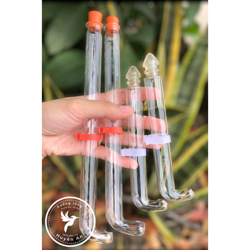 Ống hút thuỷ tinh đủ kích thước cho lồng cao và đấu XƯỞNG LỒNG HUYỀN AN