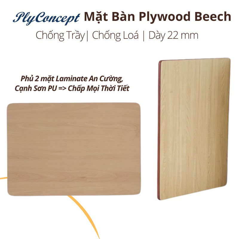 Mặt bàn đẹp 70 x 50 cm, Gỗ Dẽ Gai Châu âu dày 20 mm Plywood Beech phủ Laminate chống trầy 2 mặt Plyconcept