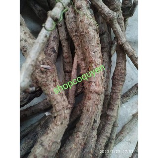 Thân dây giác tươi 1 kg
