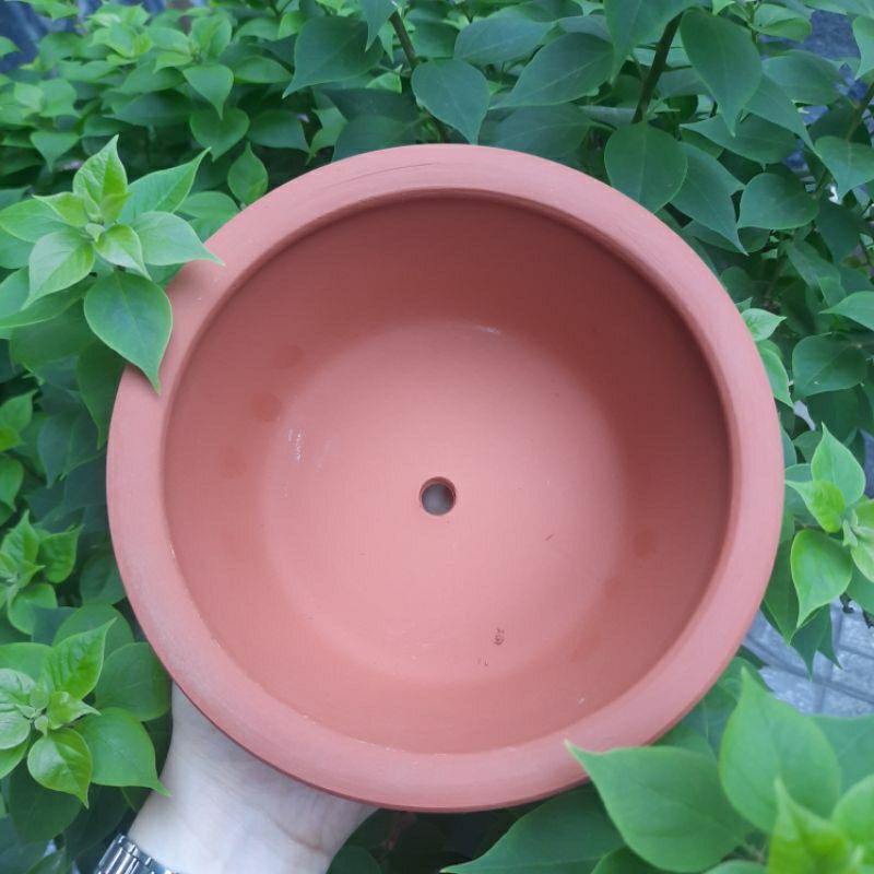 Chậu đất nung - Chậu trồng sen đá, xương rồng - Chậu thau trung miệng 16cm, cao 7cm