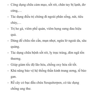 cỏ bạc đầu