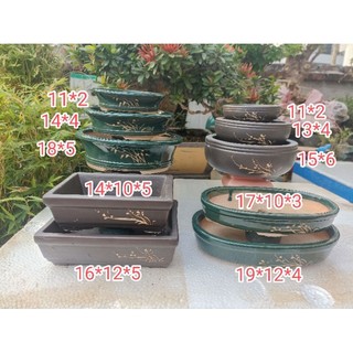 10 chậu bonsai cao cấp