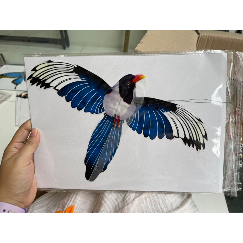 Diều cần câu cho bé yêu