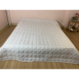 Chăn hè trắng khách sạn 1m8*2m