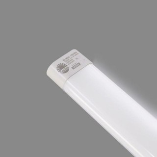Đèn Tuýp Led M36-1,2m (40w) Rạng Đông [Ánh sáng trắng]