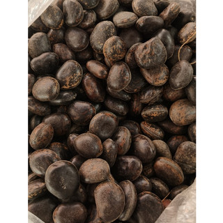 Hạt Đậu Lào, Hạt Hút Nọc Độc (500gram) - Đặc Sản 27