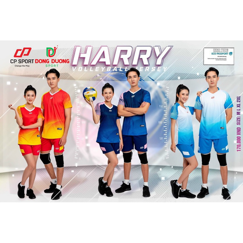 Bộ bóng chuyền Harry