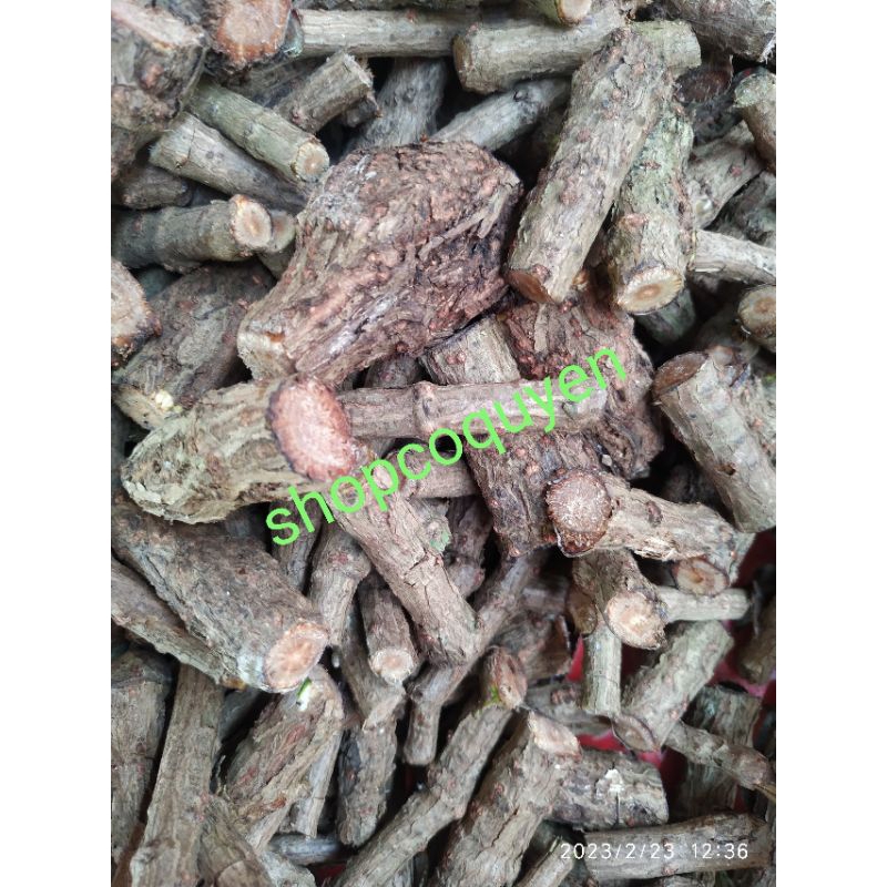 Thân dây giác tươi 1 kg