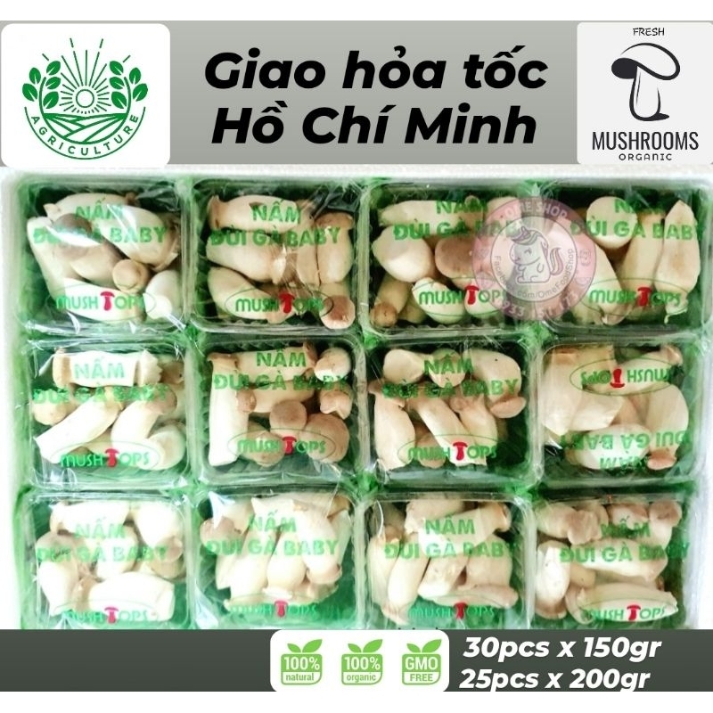 Nấm Đùi Gà Baby (hộp) / Baby King Oyster Mushrooms 150gr - giao hỏa tốc Hồ Chí Minh