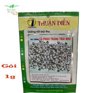 Hạt giống cà pháo trắng trái nhỏ gói 1g