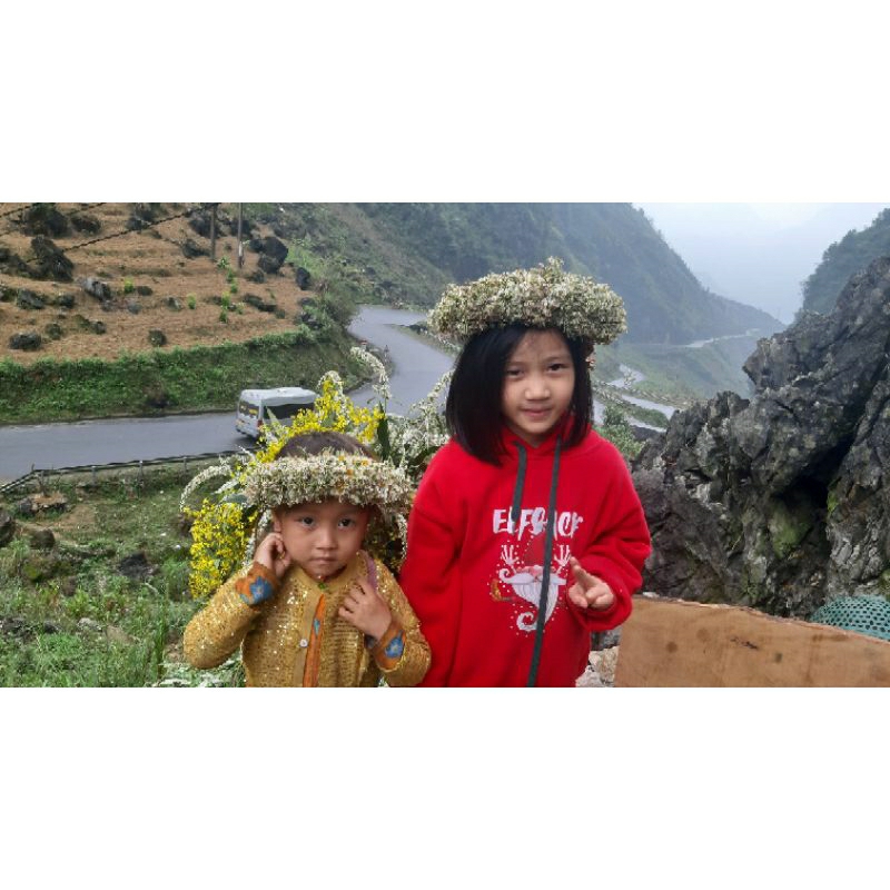 Quả Óc Chó Hà Giang