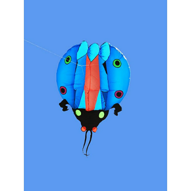 DIỀU KHÍ ĐỘNG HỌC - LADYBUG 5.5m2