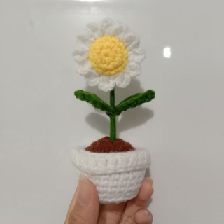 Chậu hoa cúc trắng len handmade