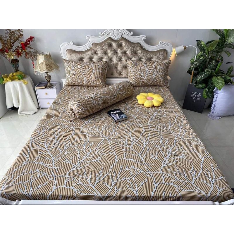 DRAP THUN HÀN QUỐC NHÀNH CÂY BAO SANG