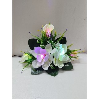 Hoa mộc lan cao 25 cm_ hoa trang trí có đèn