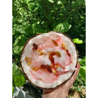 Dừa Sáp bao Sáp bao đõi trả trái 1kg
