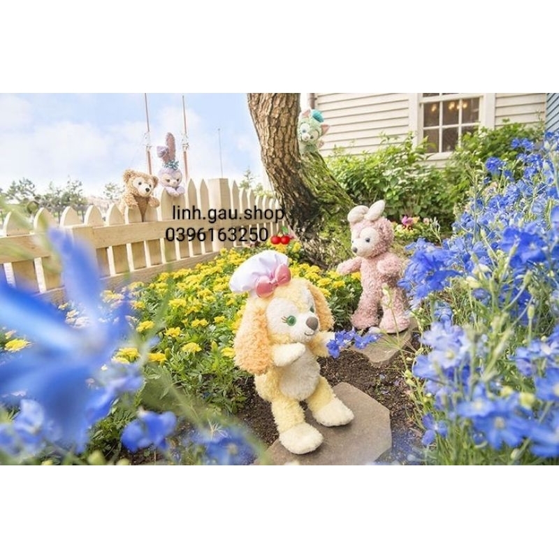 Gấu Duffy Disney có nơ