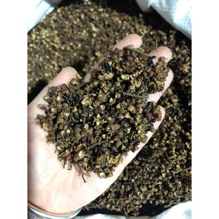 Mắc khén rừng tây bắc