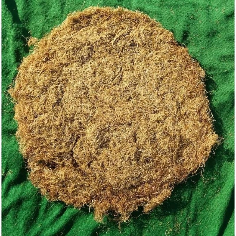 Rong chỉ vàng nấu xu xoa, nấu chè, làm gỏi 500gr