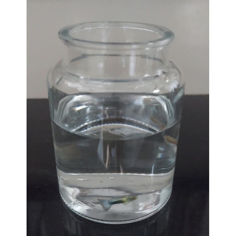 LỌ THỦY TINH NUÔI CÁ , TRANG TRÍ CỰC XINH 700ML