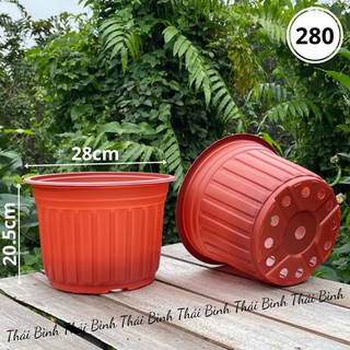 Chậu nhựa nâu - chậu nhựa vành cứng - chậu nhựa ttk