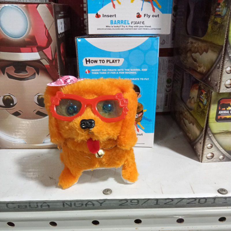 CHÓ BÔNG BIẾT ĐI BIẾT SỦA CÓ ĐÈN