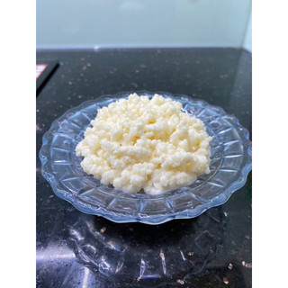 Combo đầy đủ nuôi nấm sữa kefir (5gr nám+hũ 500ml+ray nhựa+muỗng gỗ+khăn Xô+túi lọc sữa chua Hy Lạp)
