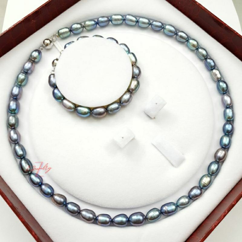 Bộ trai thật màu lông công cao cấp