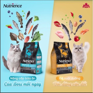 Hạt Nutrience bao chiết 1kg - Nutrience Subzero _ Nutrience indoor bao chiết tiện lợi cho mèo