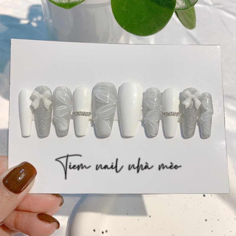 Nail box thiết kế 70k