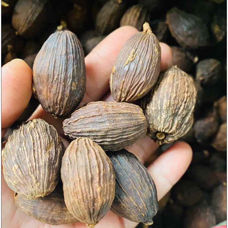 Thảo Quả khô rừng sapa loại 1 , Gia vị nấu phở thơm ngon