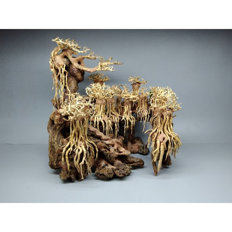 Cây gỗ lũa bonsai cho hồ thủy sinh dạng Layout [ đã ghép thành 1 khối, layout 5]