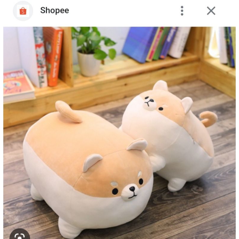 GẤU BÔNG CHÓ SHIBA- GẤU BÔNG CHÓ NHẬT CORGI SIÊU ĐÁNG YÊU