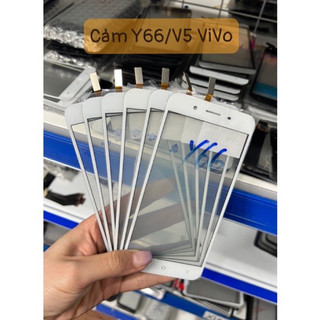 Cảm ứng Y66 ViVo