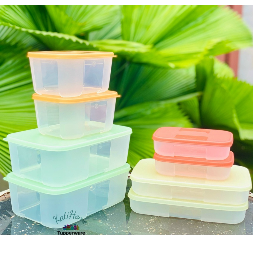 Bộ hộp nhựa đựng thực phẩm ngăn đông Colorful Tupperware nhựa nguyên sinh an toàn chính hãng bảo hành size 250ml 650 1.5