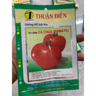 Hạt Giống Cà Chua Tomato gói 0.5g