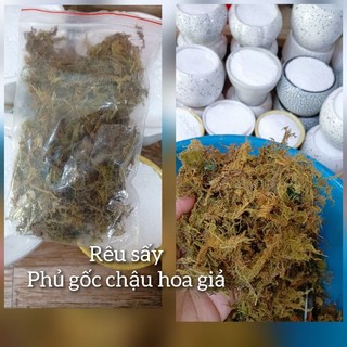BỊCH RÊU CÁM, RÊU SỢI SẤY KHÔ PHỦ LÊN GỐC CÂY BONSAI HOẶC MIỆNG CHẬU HOA , TRANG TRÍ MÔ HÌNH...