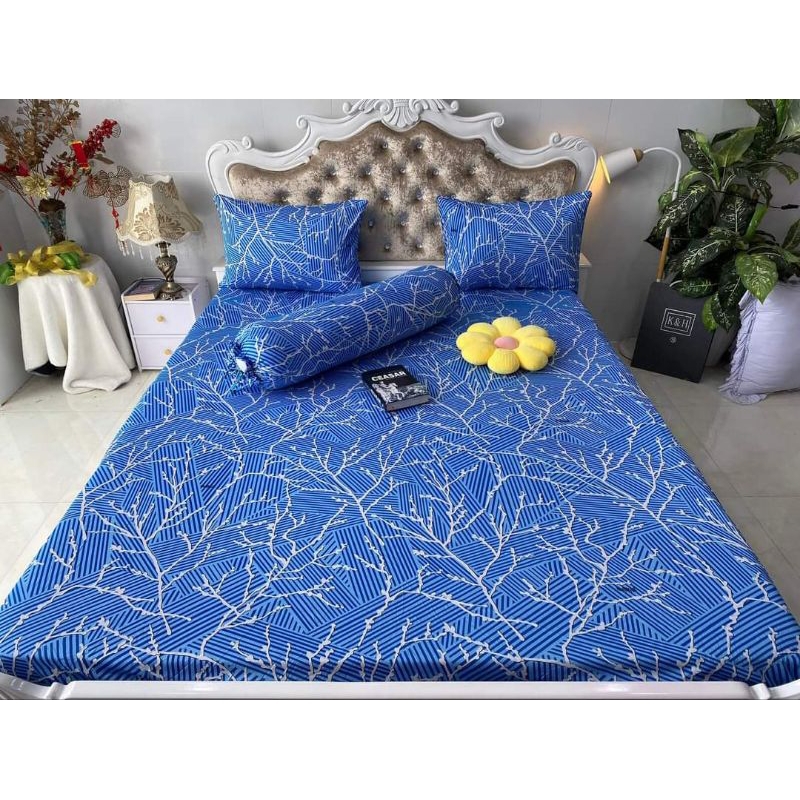 DRAP THUN HÀN QUỐC NHÀNH CÂY BAO SANG