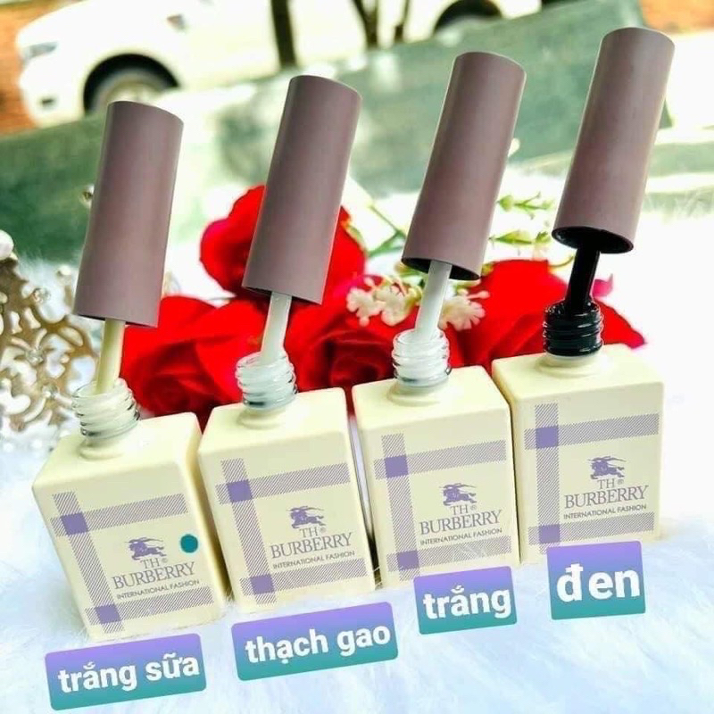 Sơn Gel Trắng Đen Nước Gạo Trắng Ngà