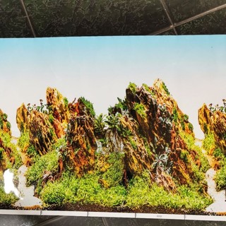 Tranh dán hồ cá cao 40cm