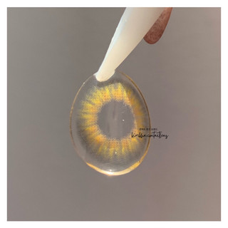 ( TẶNG KÈM KHAY GƯƠNG MINI ) LENS KÍNH ÁP TRÒNG MIS BROWN