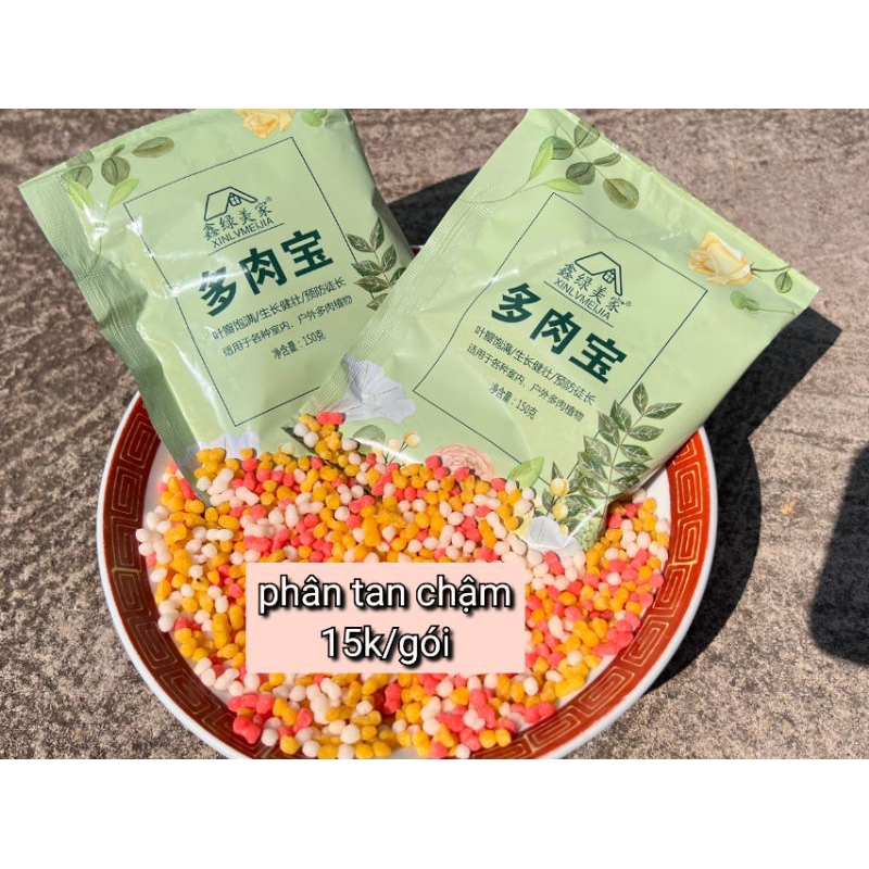 phân tan chậm cho sen đá