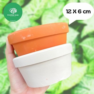 Chậu đất nung 12x6cm - Chậu trồng sen đá