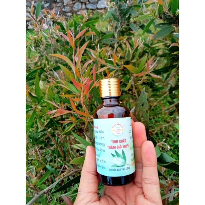 TINH CHẤT TRÀM GIÓ