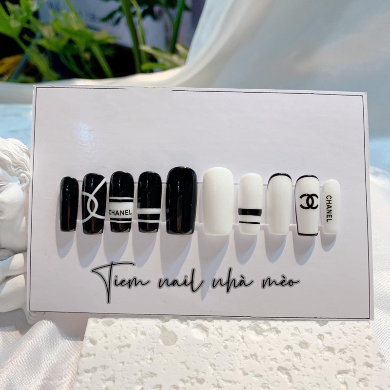 Nail box thiết kế 70k