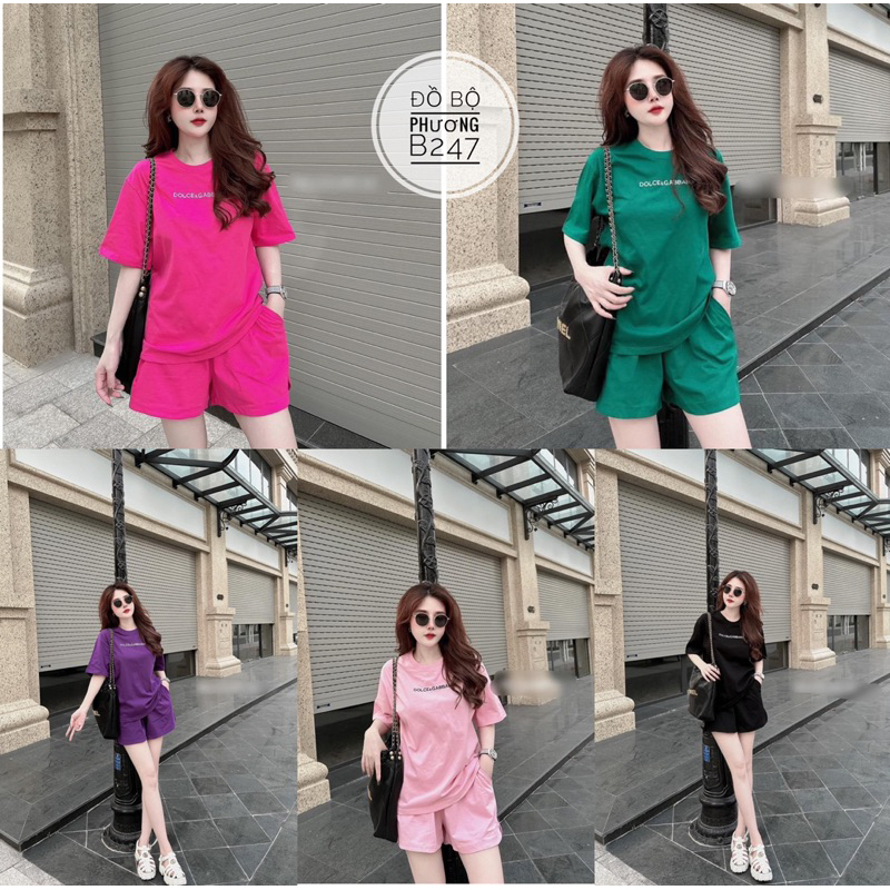 Bộ đùi thun 5 màu đủ size 40-85kg B247