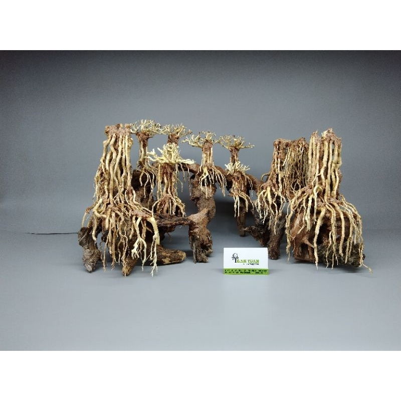 lũa gỗ Bonsai cho hồ cá, hồ thủy sinh dạng Layout