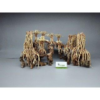 Lũa gỗ Bonsai cho hồ cá, hồ thủy sinh dạng Layout
