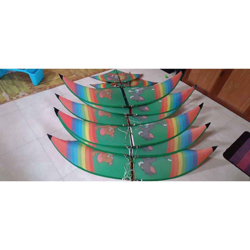 Diều sáo 1m7 full cacbon nan vip