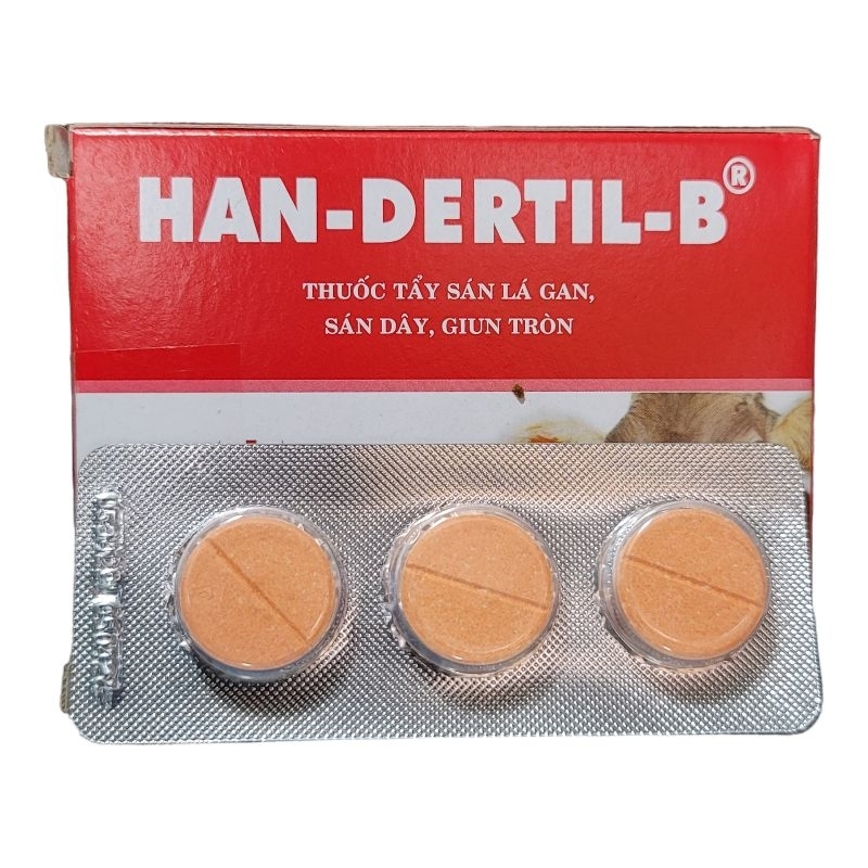Viên Han Dertil B sạch s á n dùng cho thú cưng